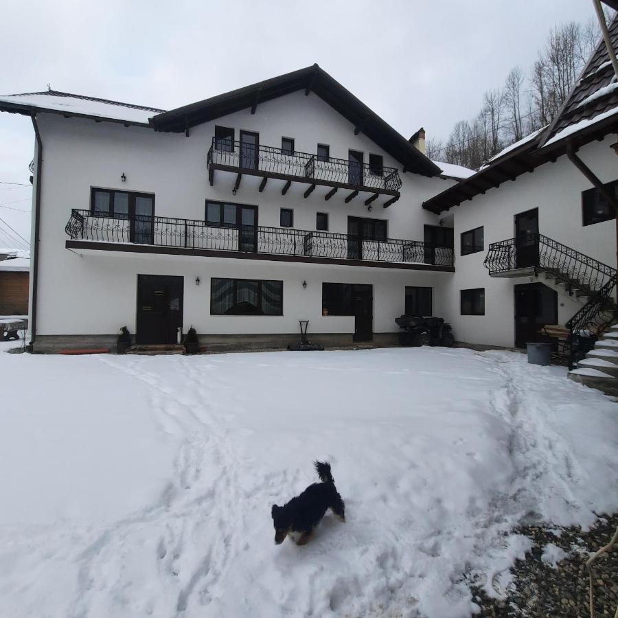 Casa Dana Olteanu Hotel มัวเยชู เด ซุส ภายนอก รูปภาพ