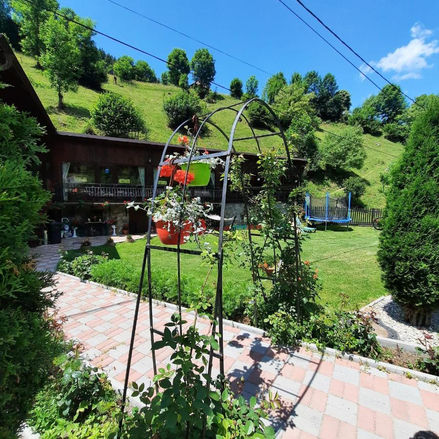 Casa Dana Olteanu Hotel มัวเยชู เด ซุส ภายนอก รูปภาพ
